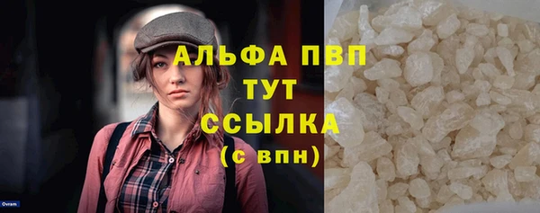прущие грибы Беломорск