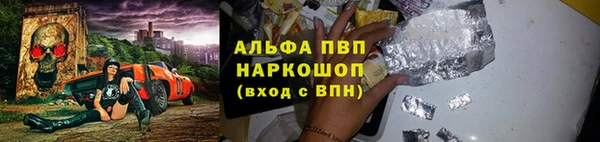 прущие грибы Беломорск