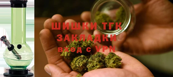 прущие грибы Беломорск