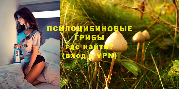 стафф Белокуриха