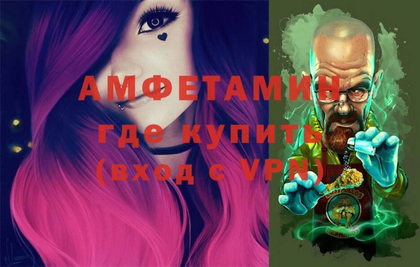 прущие грибы Беломорск