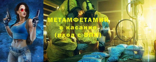 прущие грибы Беломорск