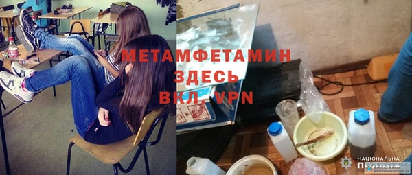 прущие грибы Беломорск