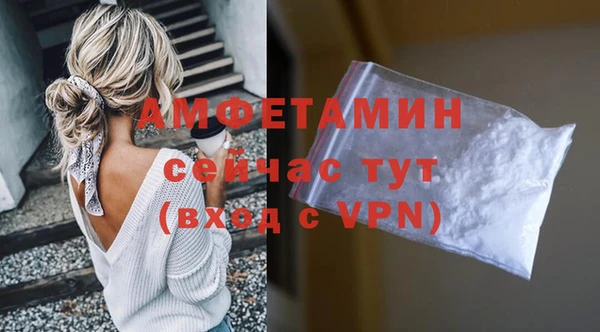 прущие грибы Беломорск