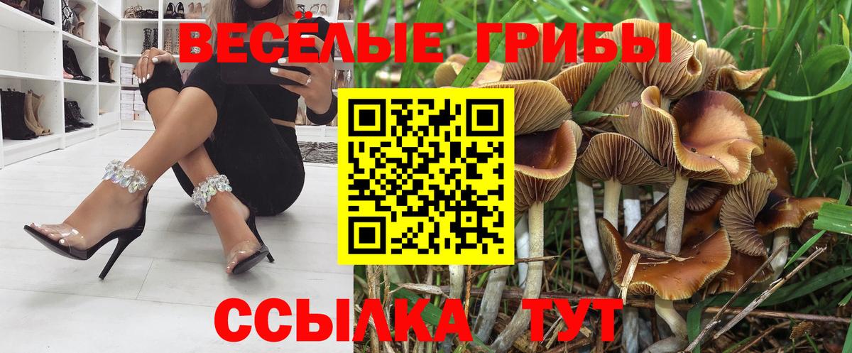 Псилоцибиновые грибы GOLDEN TEACHER  Псилоцибиновые грибы Psilocybine cubensis  Вход с VPN  Великие Луки 